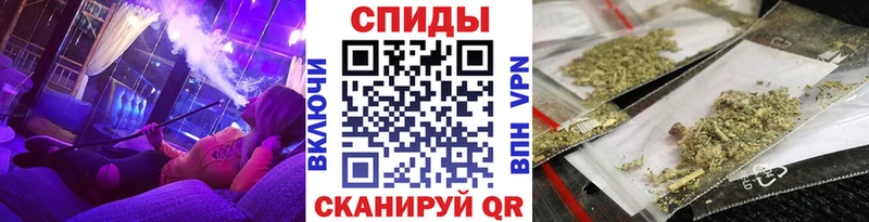 БУТИРАТ бутик  MEGA   Завитинск 