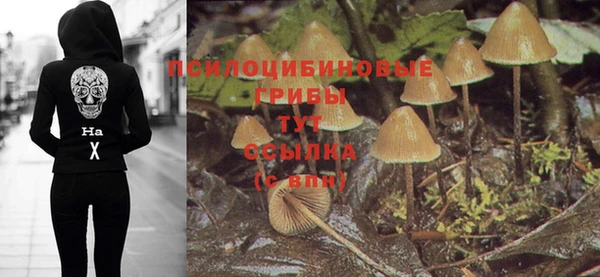 метадон Михайловск