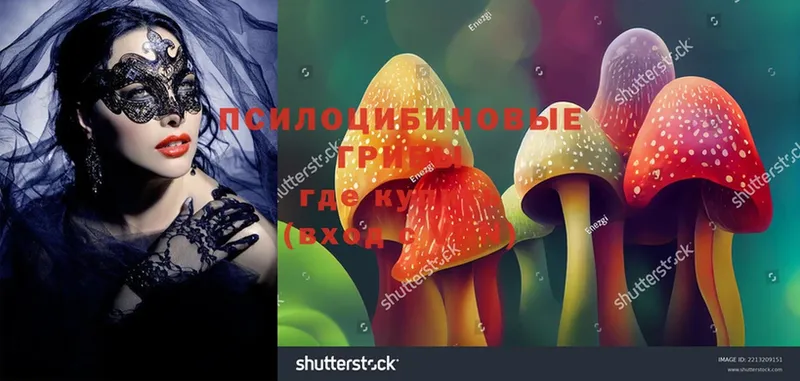 Галлюциногенные грибы Magic Shrooms  купить закладку  Завитинск 