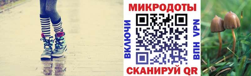 Псилоцибиновые грибы Psilocybe хочу наркоту Завитинск